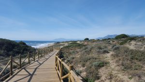 artola sand dunes