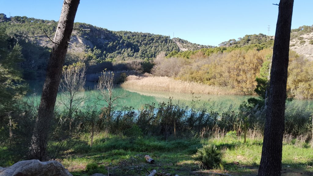 Ardales countryside