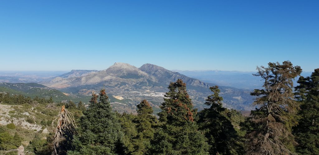 Andalusian Countryside
