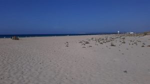 Weekend by the Atlantic ocean