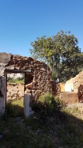 Discover Costa del Sol's countryside!